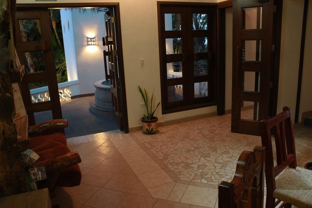 San José del Cabo 卡萨哥斯达黎加阿祖尔旅馆酒店 外观 照片