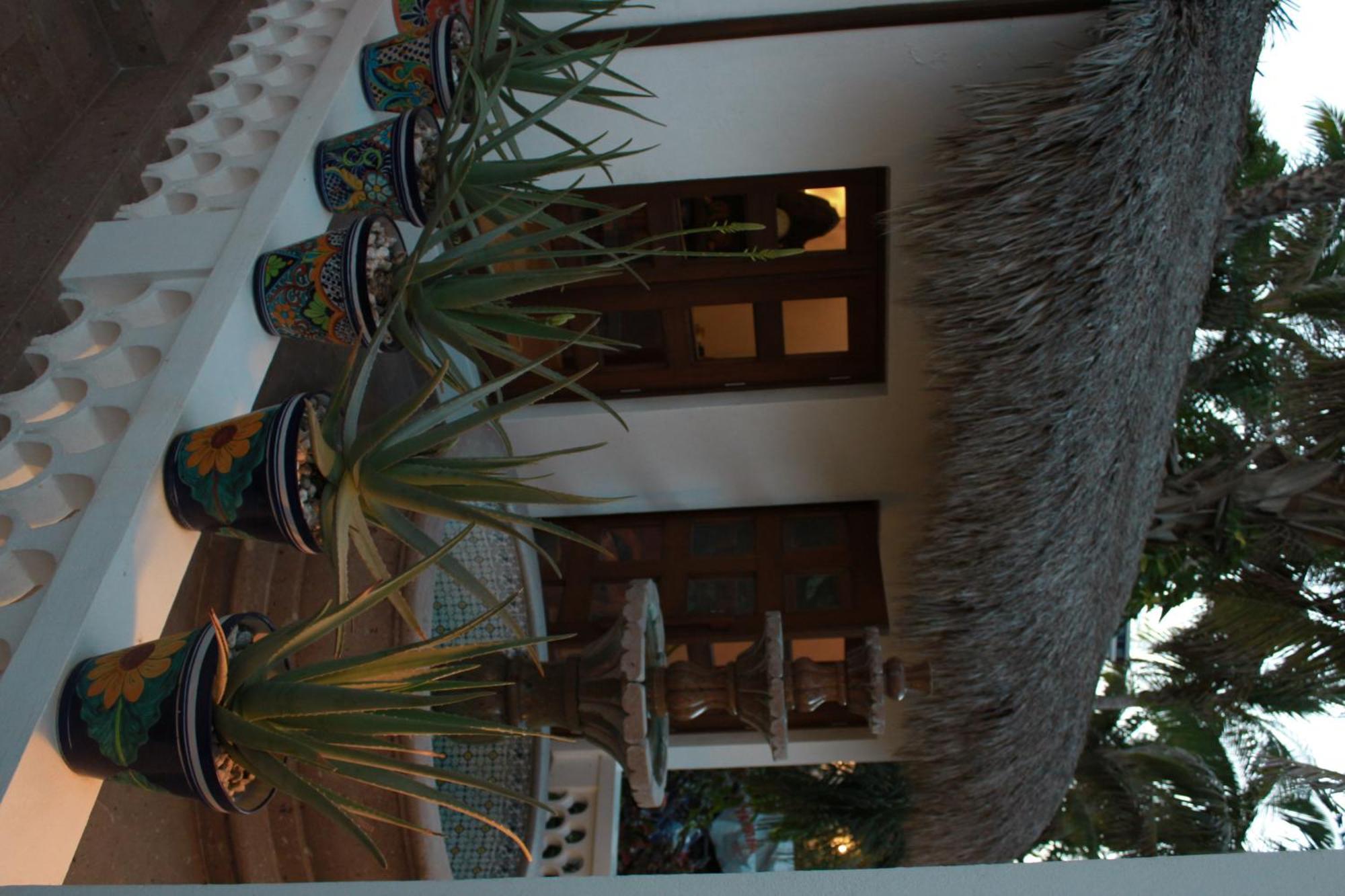 San José del Cabo 卡萨哥斯达黎加阿祖尔旅馆酒店 外观 照片