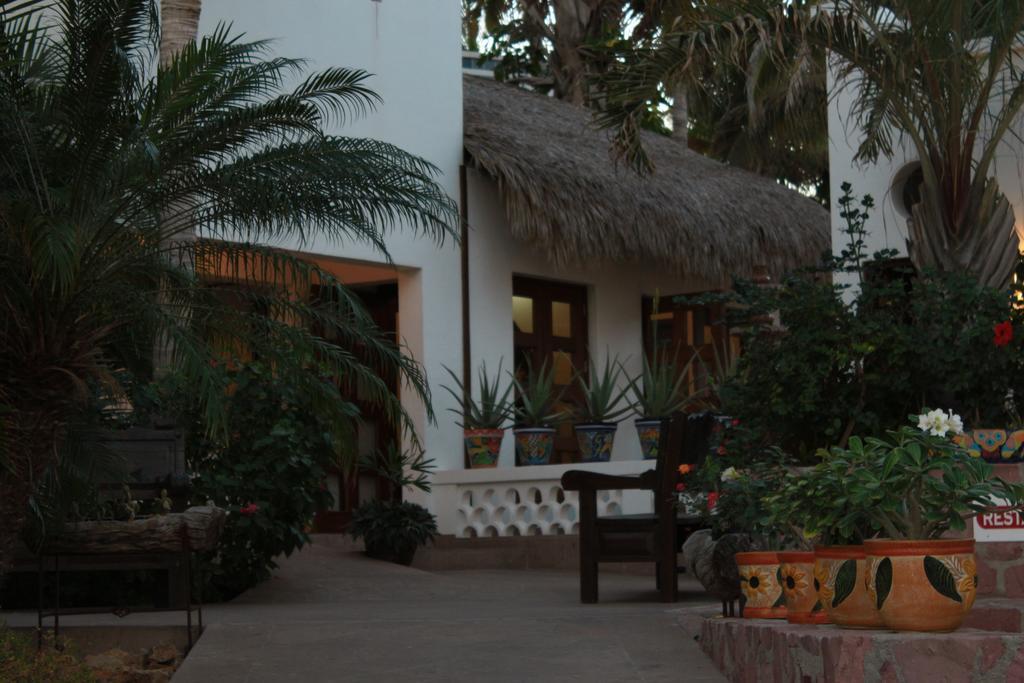 San José del Cabo 卡萨哥斯达黎加阿祖尔旅馆酒店 外观 照片