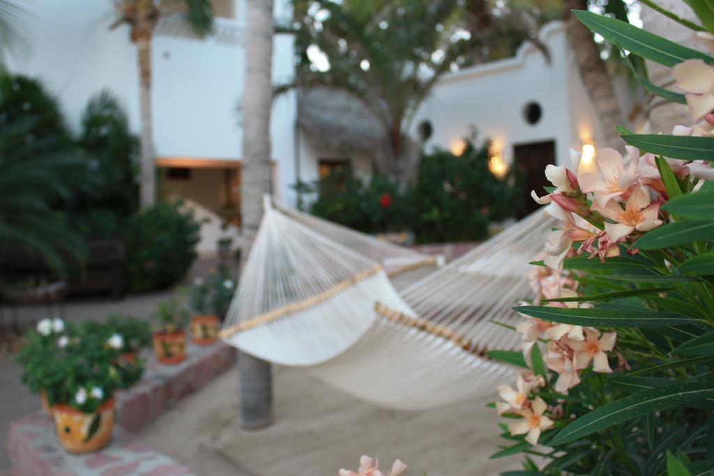 San José del Cabo 卡萨哥斯达黎加阿祖尔旅馆酒店 外观 照片