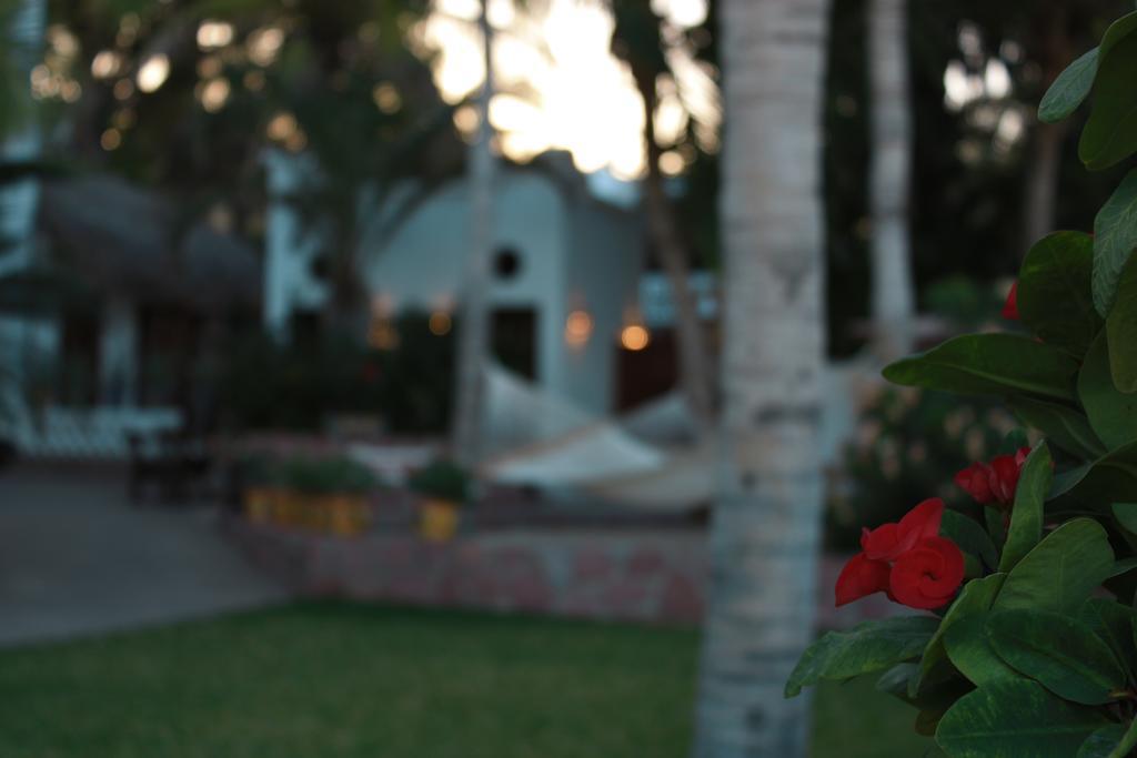 San José del Cabo 卡萨哥斯达黎加阿祖尔旅馆酒店 外观 照片